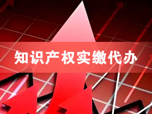 濮阳知识产权实缴资本代办